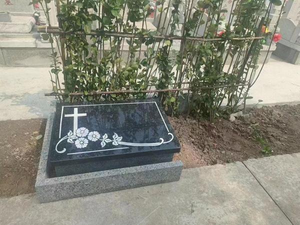案例展示