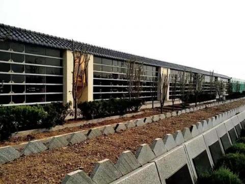 案例展示